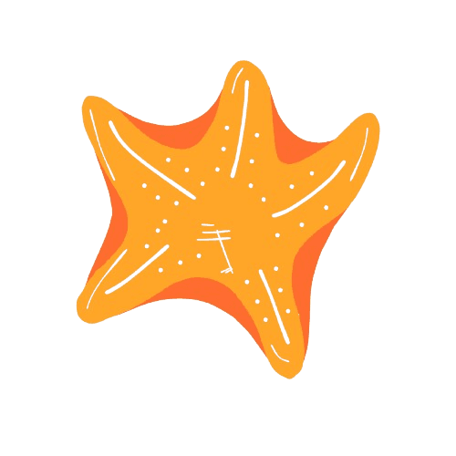 Starfish - Click for Memory Game!